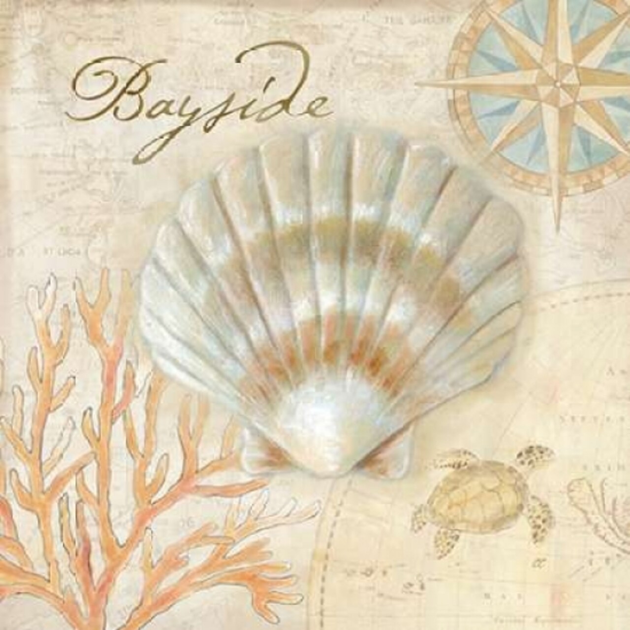 Nautical Shells II Poster Print by Cynthia Coulter - Item # VARPDXRB7272CC